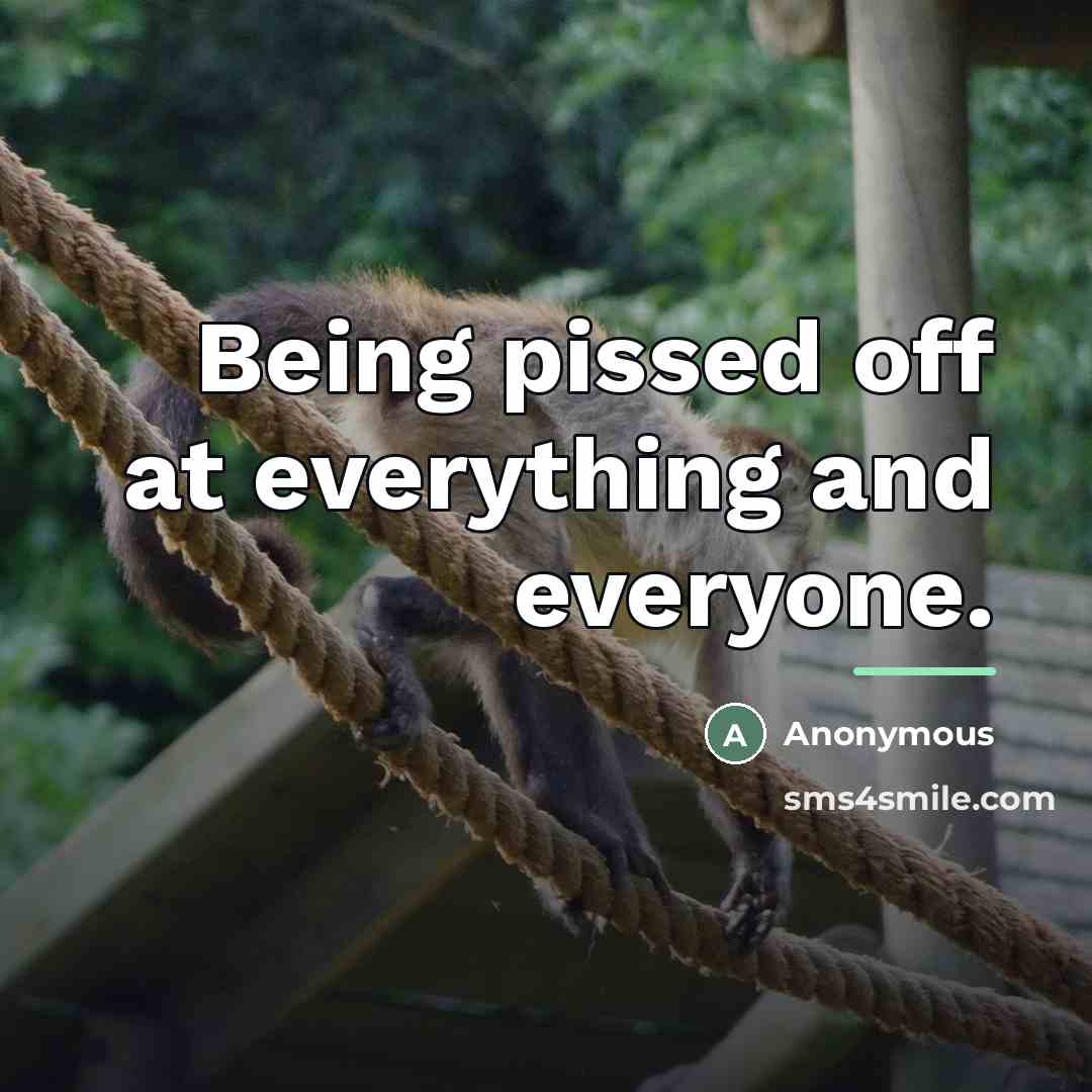 “Being pissed off at everything and everyone.…” quote by Anonymous