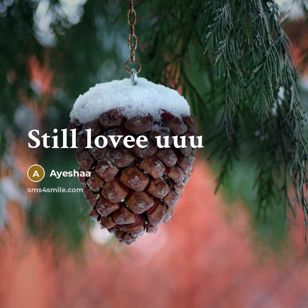 “Still lovee uuu…” quote by Ayeshaa