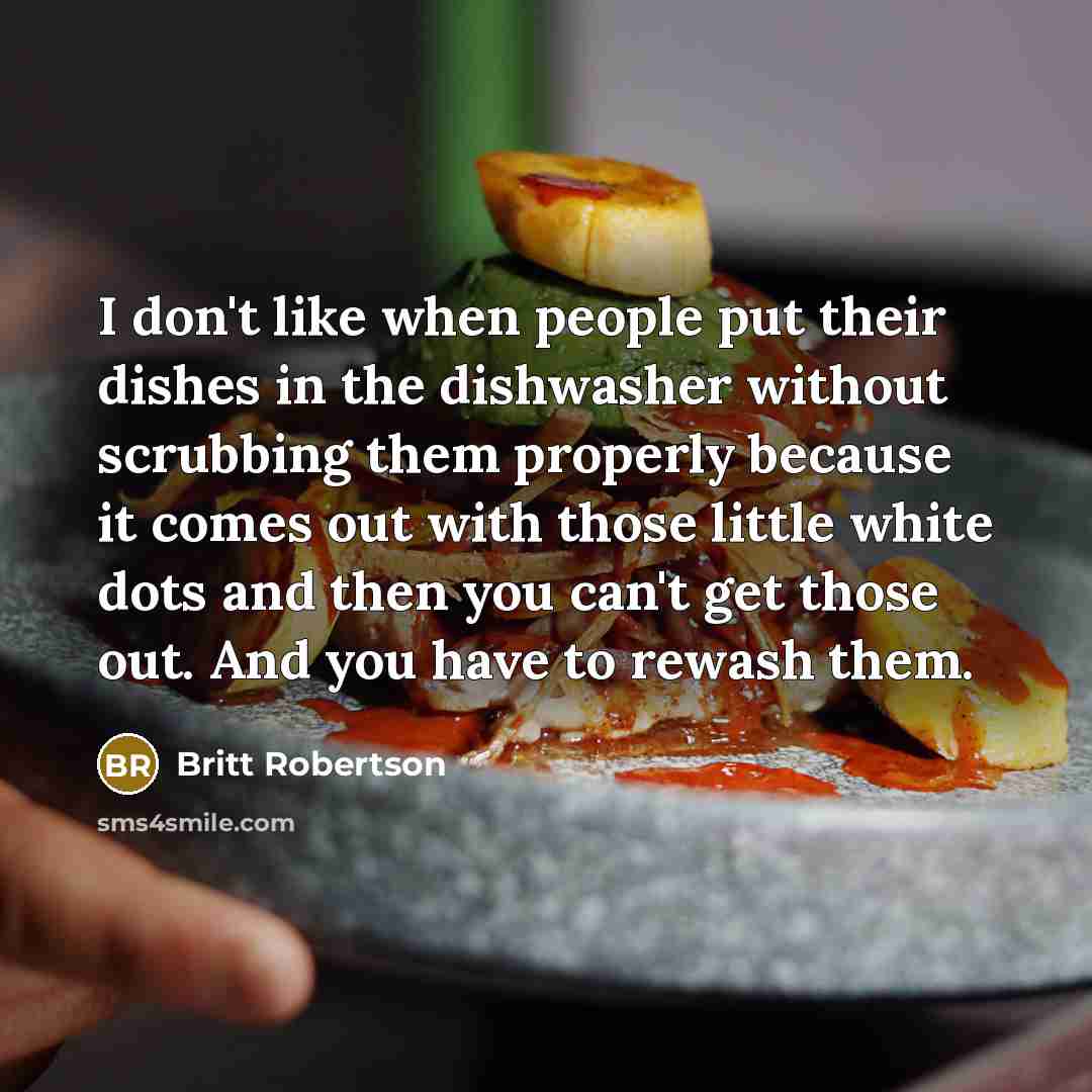 “I don't like when people put their dishes in the…” quote by Britt Robertson