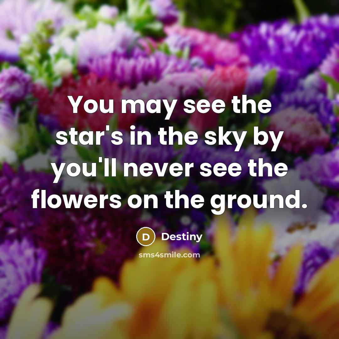 “You may see the star's in the sky by you'll…” quote by Destiny