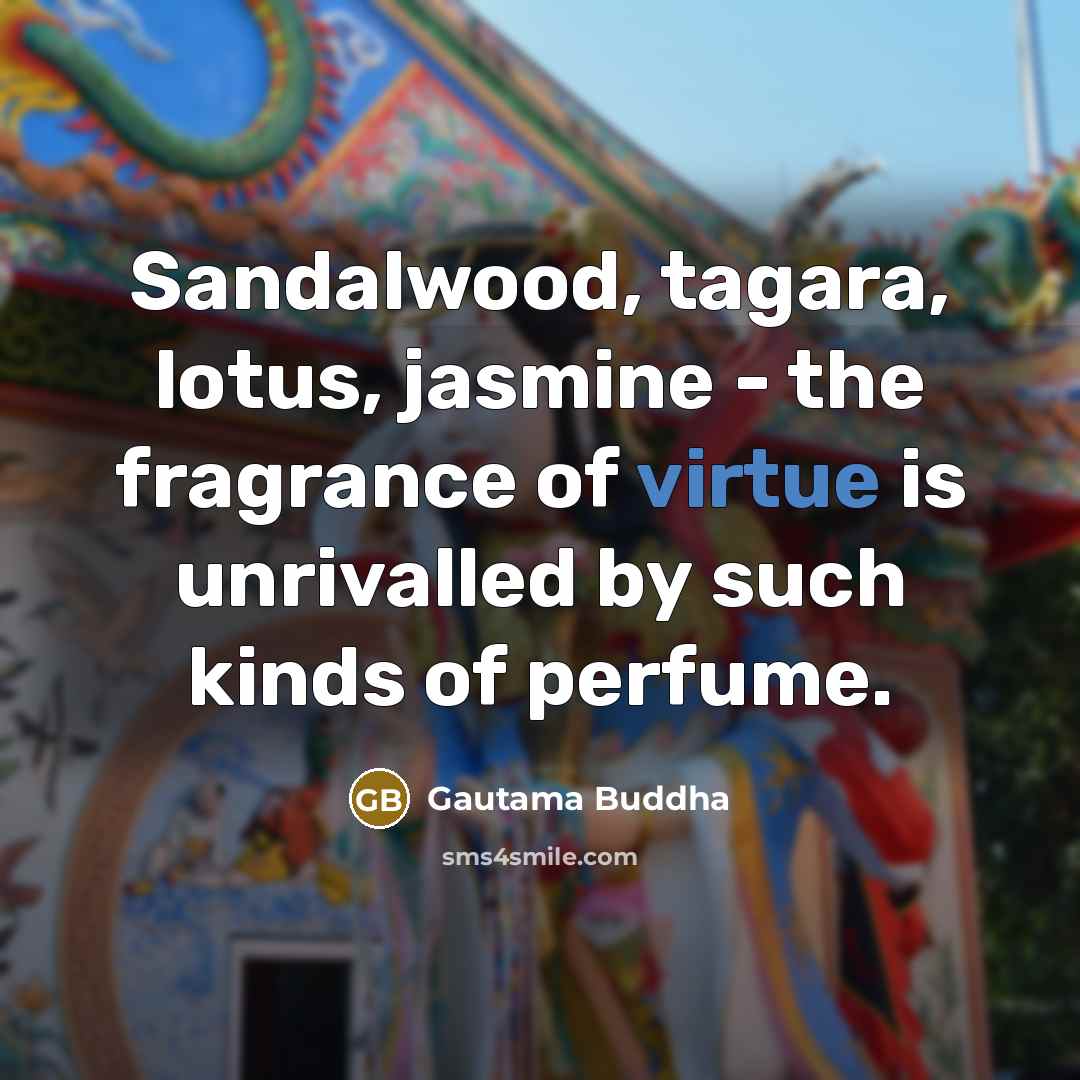 “Sandalwood, tagara, lotus, jasmine - the fragrance of virtue is…” quote by Gautama Buddha