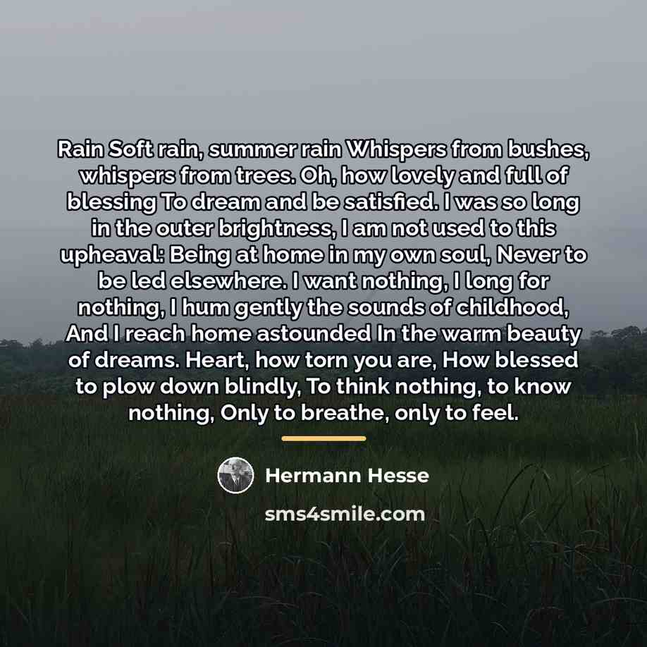 “Rain Soft rain, summer rain Whispers from bushes, whispers from…” quote by Hermann Hesse