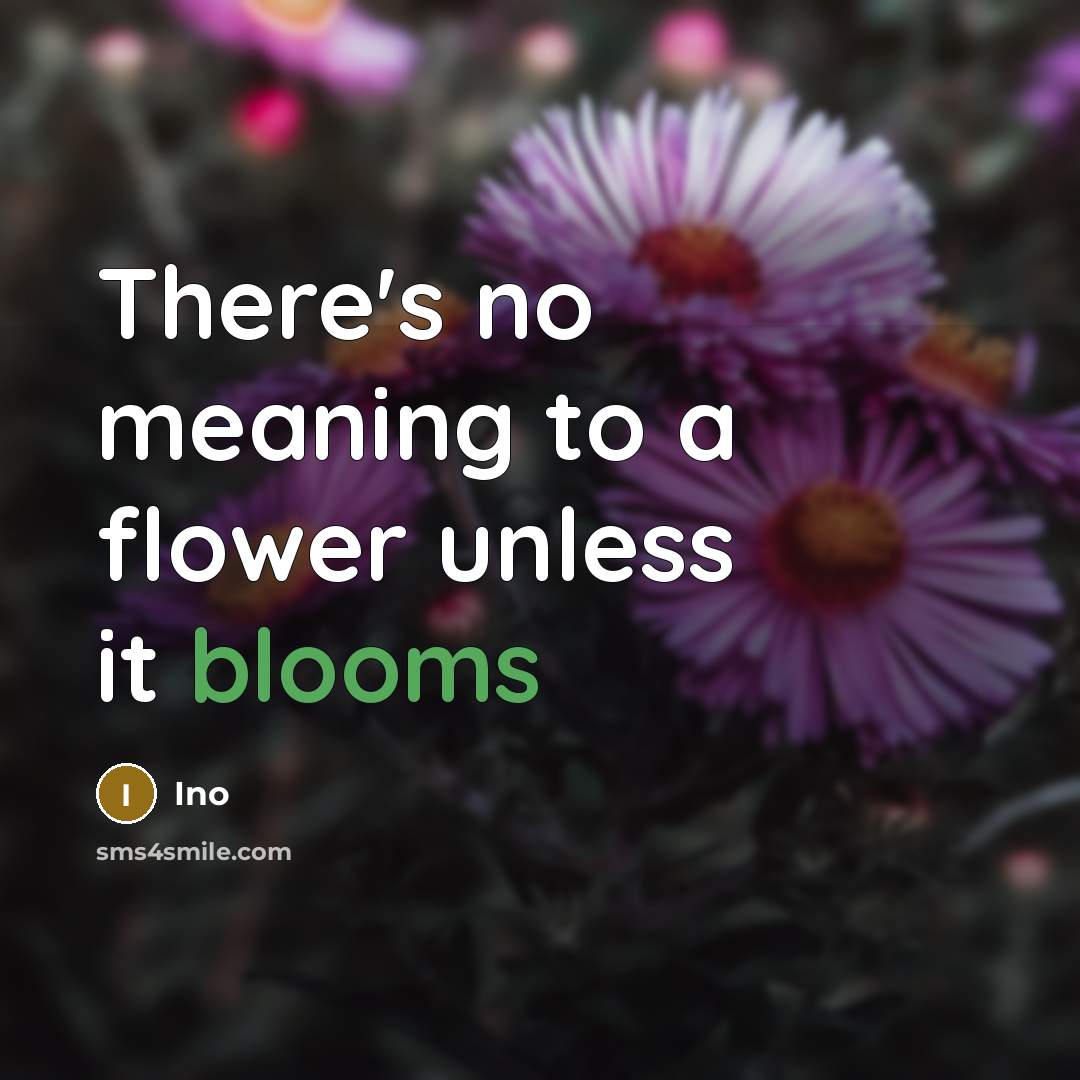 “There's no meaning to a flower unless it blooms” quote by Ino