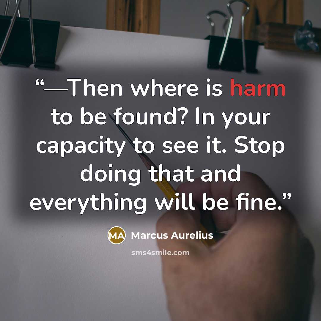 “—Then where is harm to be found? In your capacity to see it. Stop doing that and everything will be fine.” quote by Marcus Aurelius