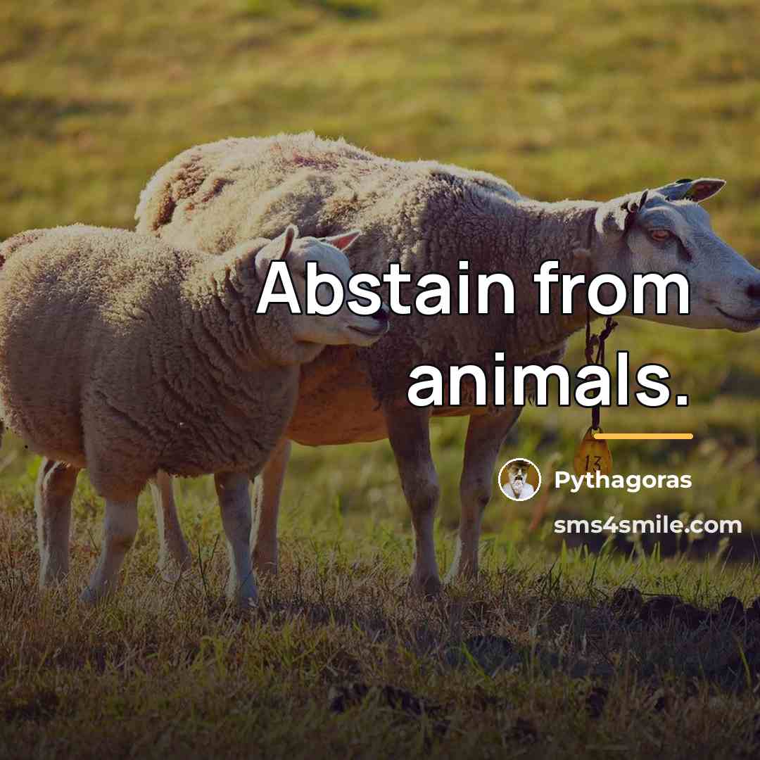 “Abstain from animals.…” quote by Pythagoras