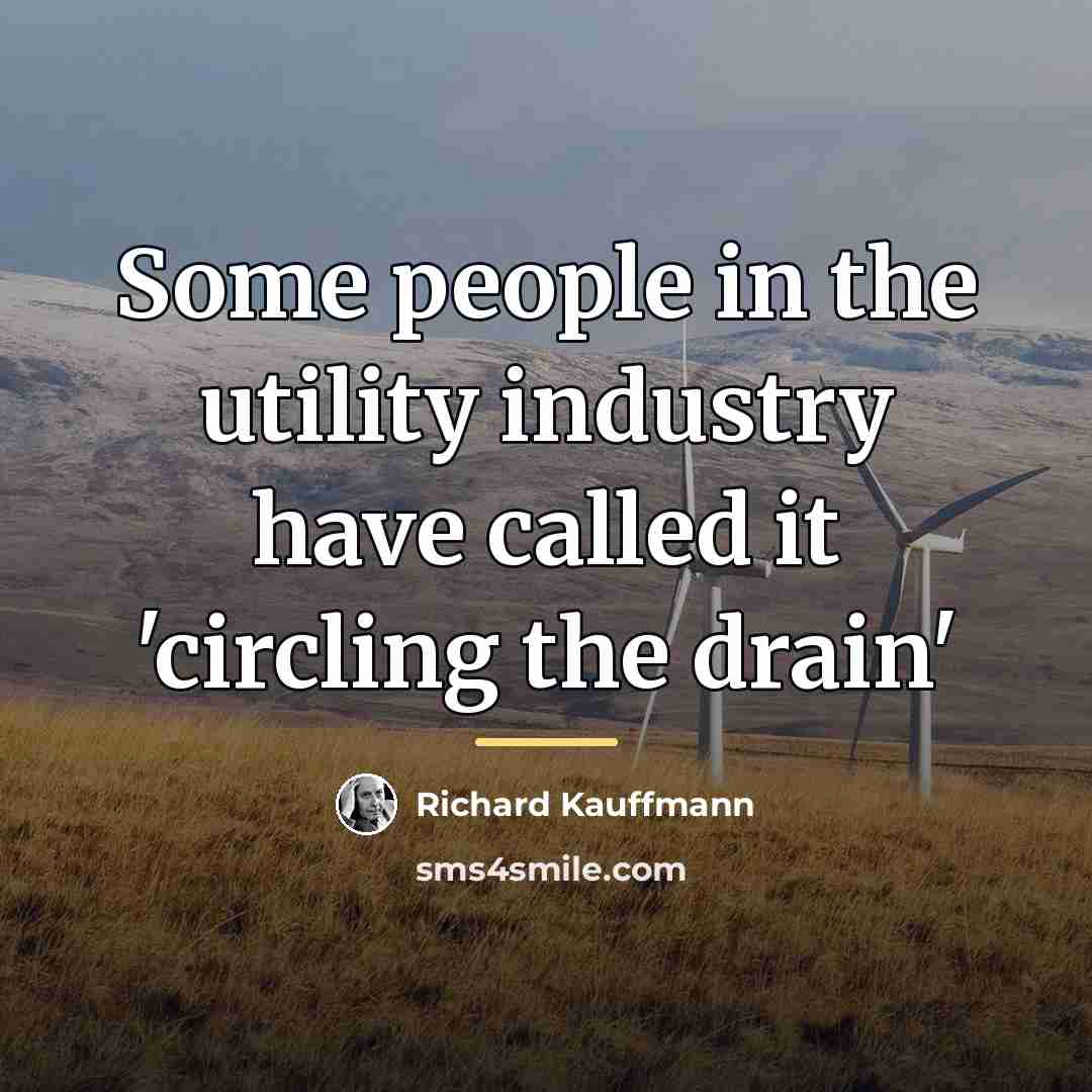 “Some people in the utility industry have called it 'circling…” quote by Richard Kauffmann