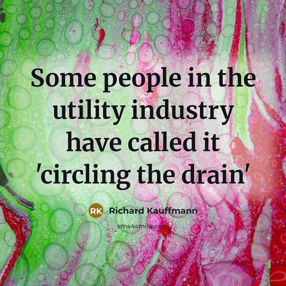 “Some people in the utility industry have called it 'circling the drain'” quote by Richard Kauffmann
