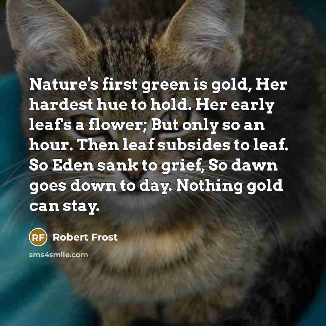 “Nature's first green is gold, Her hardest hue to hold.…” quote by Robert Frost