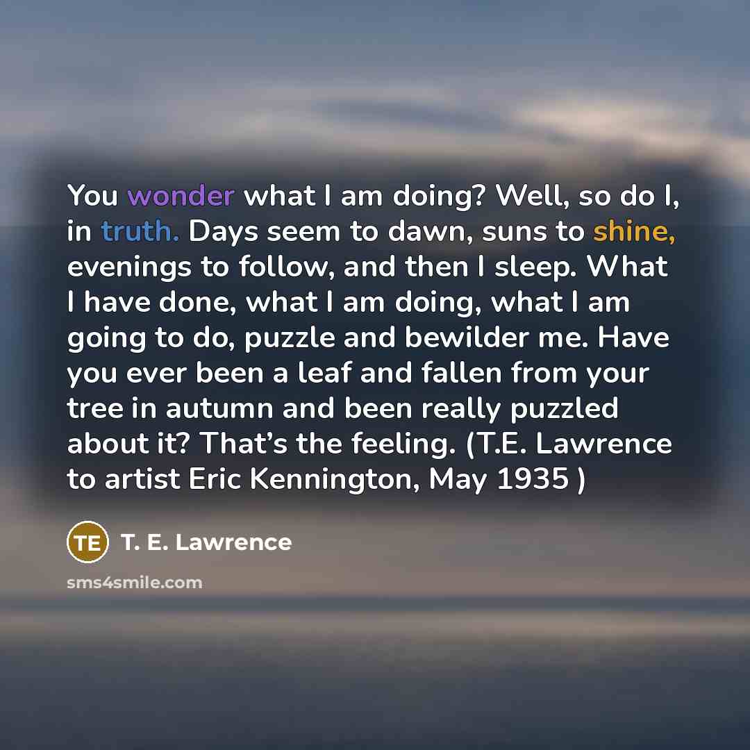 “You wonder what I am doing? Well, so do I,…” quote by T. E. Lawrence