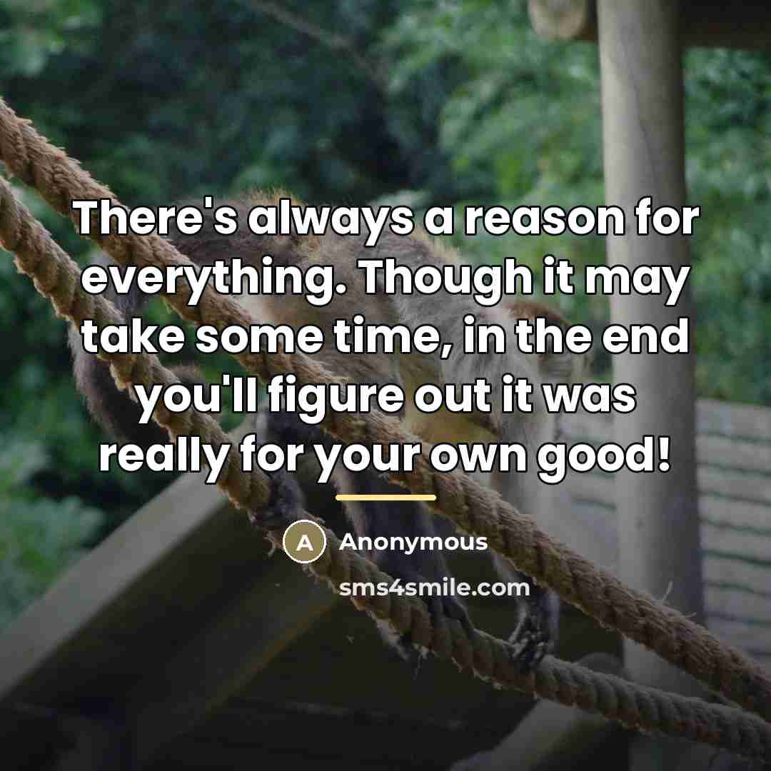 “There's always a reason for everything. Though it may take…” quote by Anonymous