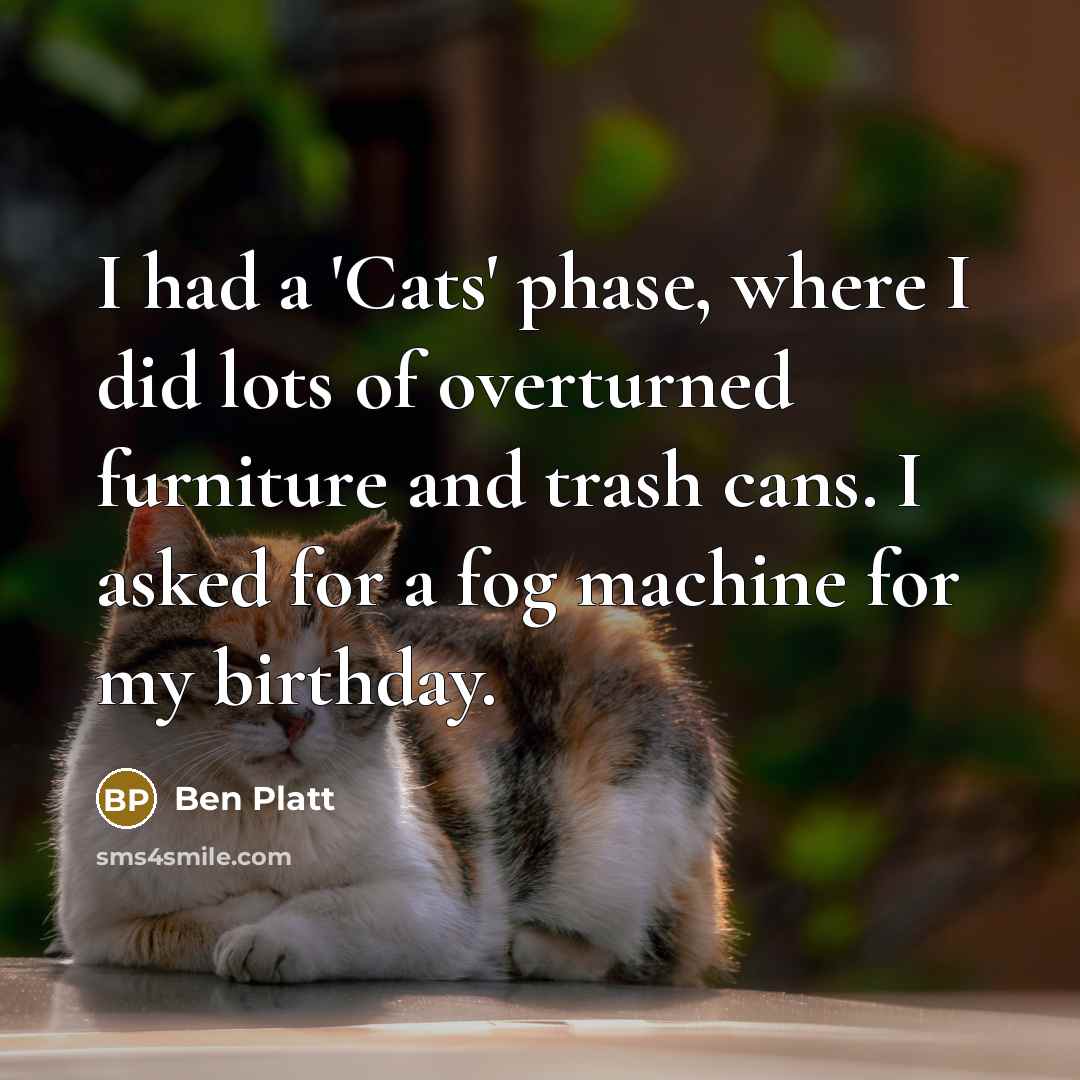 “I had a 'Cats' phase, where I did lots of…” quote by Ben Platt