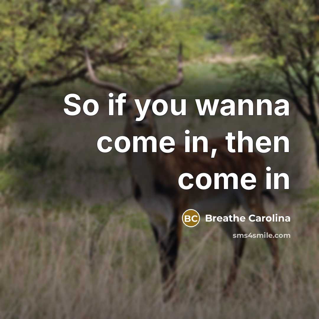 “So if you wanna come in, then come in” quote by Breathe Carolina