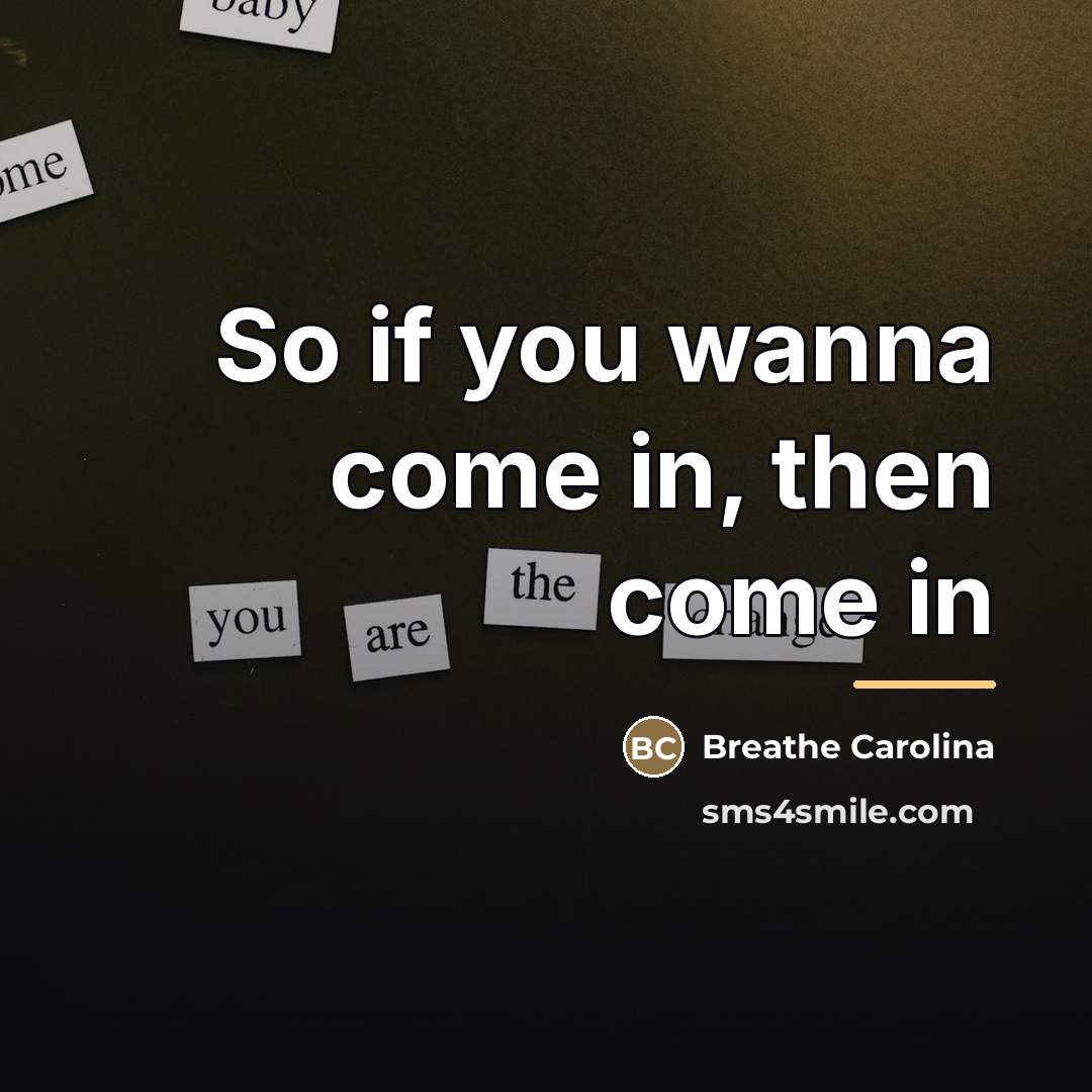 “So if you wanna come in, then come in…” quote by Breathe Carolina