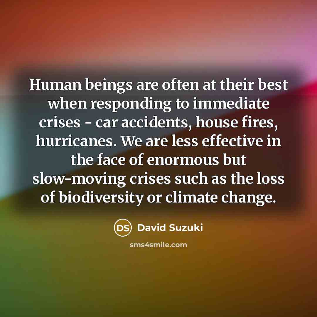 “Human beings are often at their best when responding to…” quote by David Suzuki