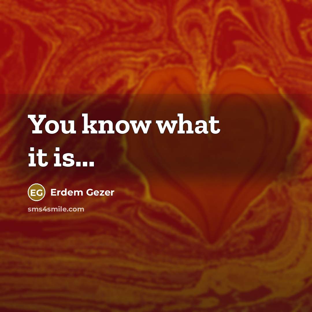 “You know what it is...…” quote by Erdem Gezer