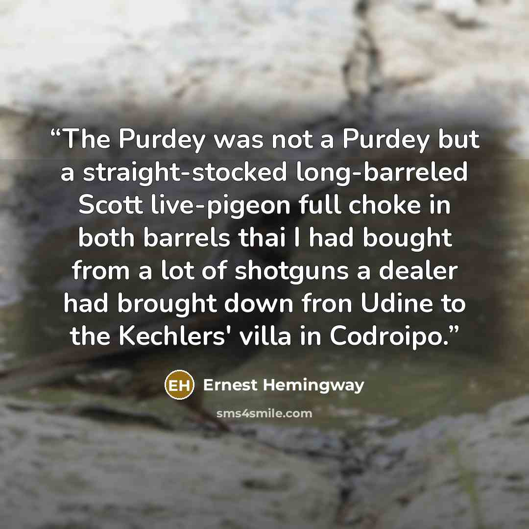 “The Purdey was not a Purdey but a straight-stocked long-barreled Scott live-pigeon full choke in both barrels thai I had bought from a lot of shotguns a dealer had brought down fron Udine to the Kechlers' villa in Codroipo.” quote by Ernest Hemingway