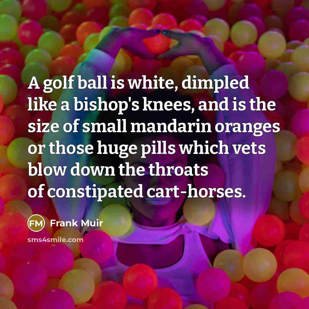 “A golf ball is white, dimpled like a bishop's knees,…” quote by Frank Muir