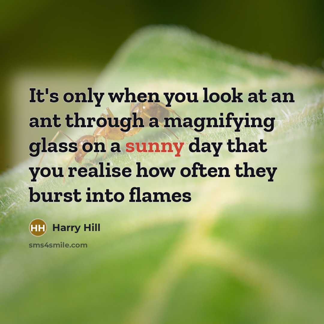“It's only when you look at an ant through a…” quote by Harry Hill