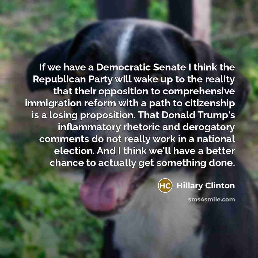 “If we have a Democratic Senate I think the Republican…” quote by Hillary Clinton