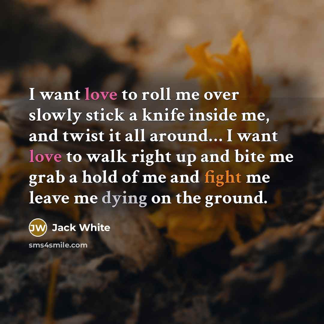 “I want love to roll me over slowly stick a…” quote by Jack White