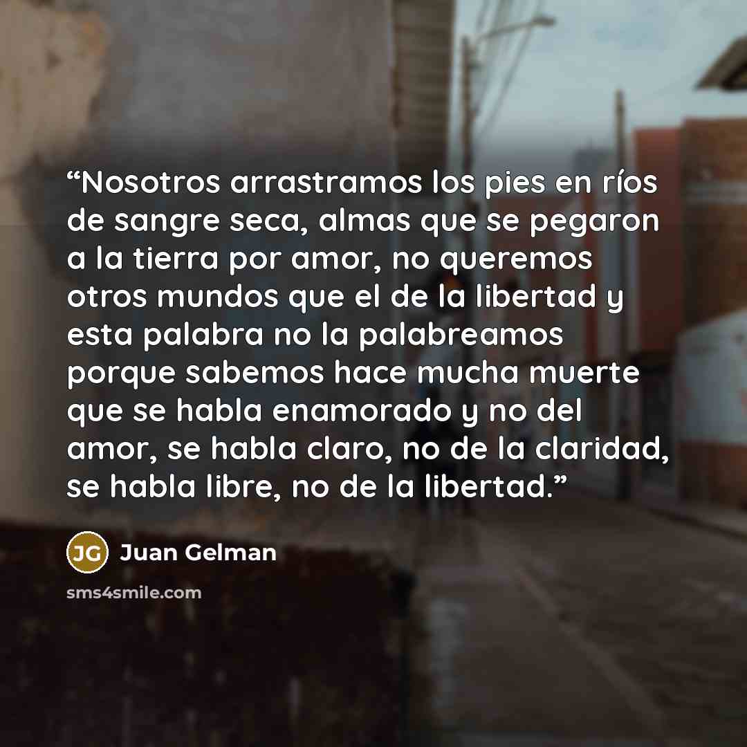 “Nosotros arrastramos los pies en ríos de sangre seca, almas que se pegaron a la tierra por amor, no queremos otros mundos que el de la libertad y esta palabra no la palabreamos porque sabemos hace mucha muerte que se habla enamorado y no del amor, se habla claro, no de la claridad, se habla libre…” quote by Juan Gelman