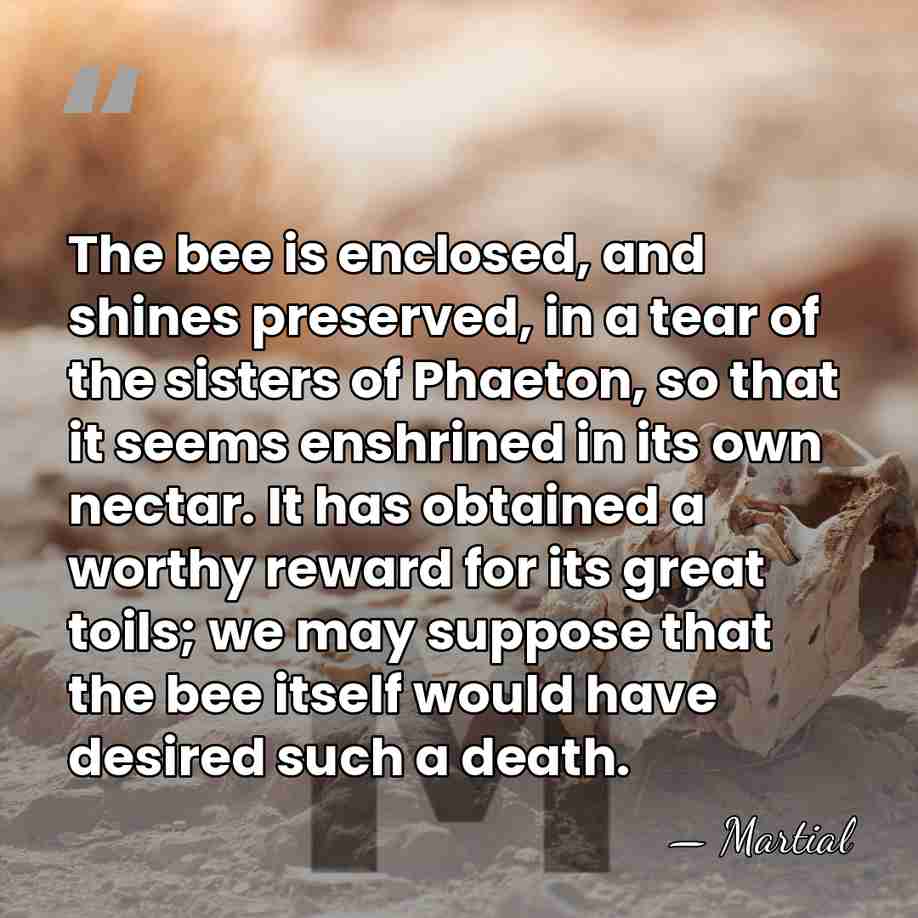 The bee is enclosed, and shines preserved, in a tear of the&hellip; - Martial