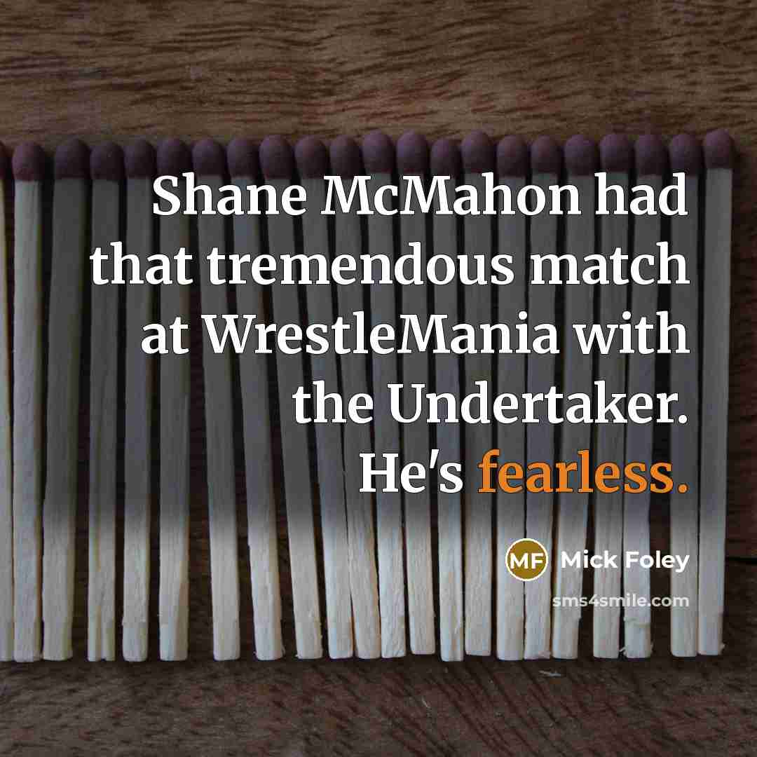 “Shane McMahon had that tremendous match at WrestleMania with the…” quote by Mick Foley