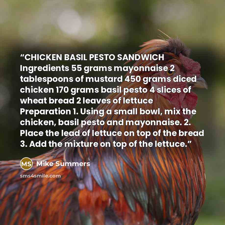 “CHICKEN BASIL PESTO SANDWICH Ingredients 55 grams mayonnaise 2 tablespoons of mustard 450 grams diced chicken 170 grams basil pesto 4 slices of wheat bread 2 leaves of lettuce Preparation 1. Using a small bowl, mix the chicken, basil pesto and mayonnaise. 2. Place the lead of lettuce on top of the…” quote by Mike Summers