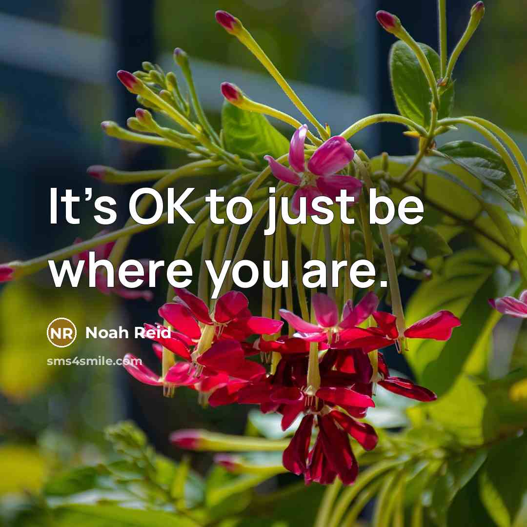 “It's OK to just be where you are.…” quote by Noah Reid