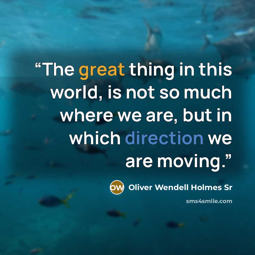 “The great thing in this world, is not so much where we are, but in which direction we are moving.” quote by Oliver Wendell Holmes Sr