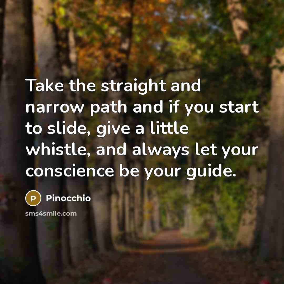 “Take the straight and narrow path and if you start…” quote by Pinocchio