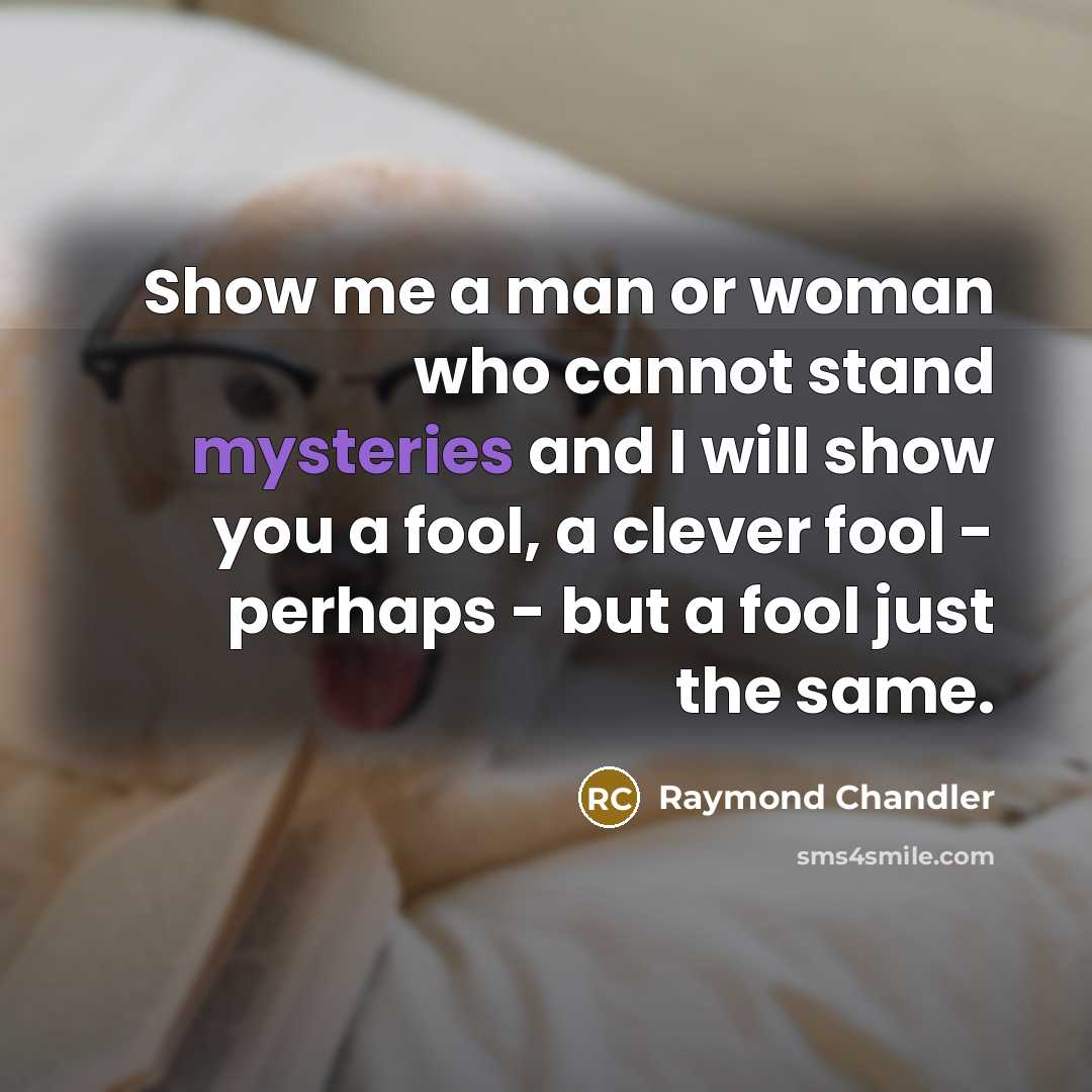 “Show me a man or woman who cannot stand mysteries…” quote by Raymond Chandler