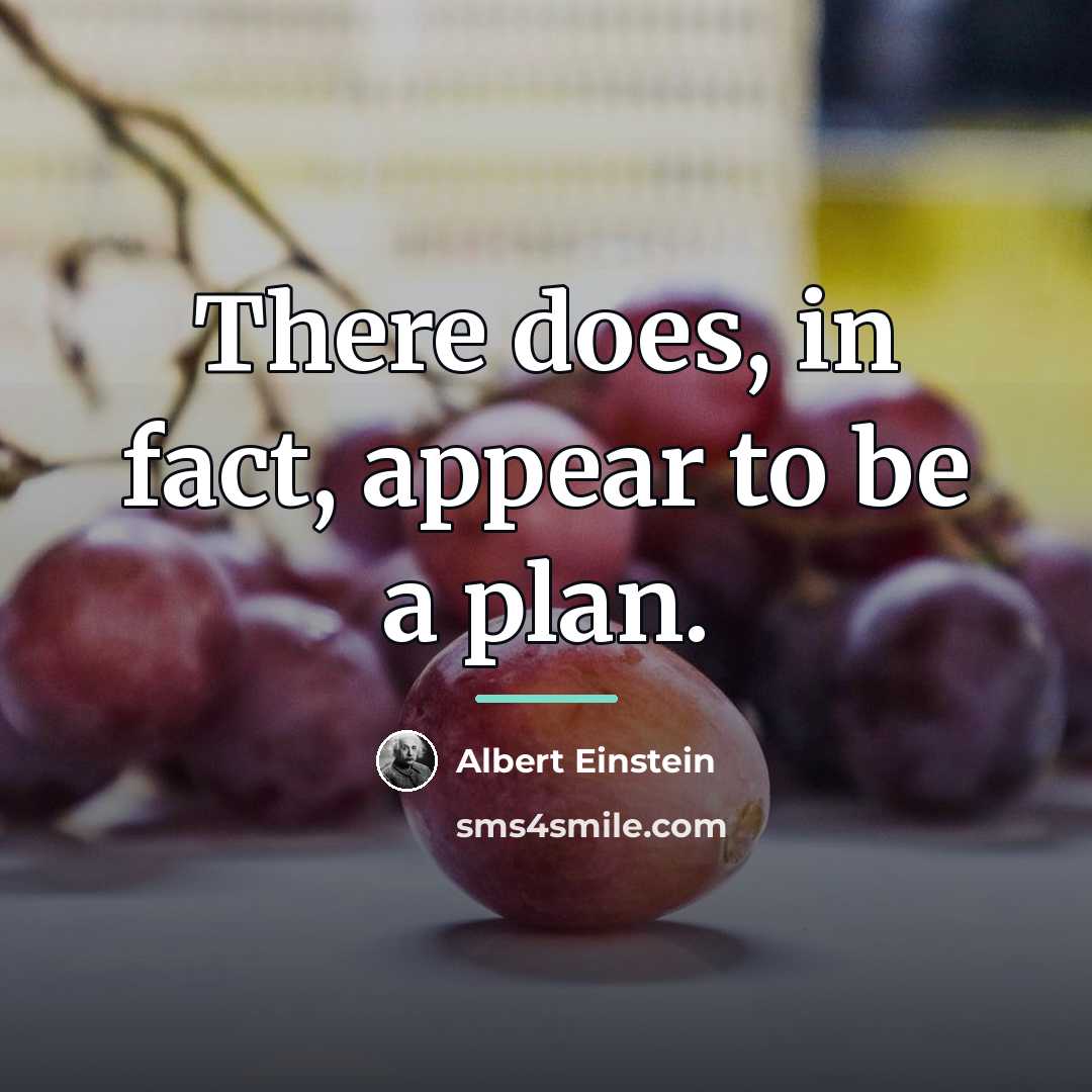 “There does, in fact, appear to be a plan.…” quote by Albert Einstein