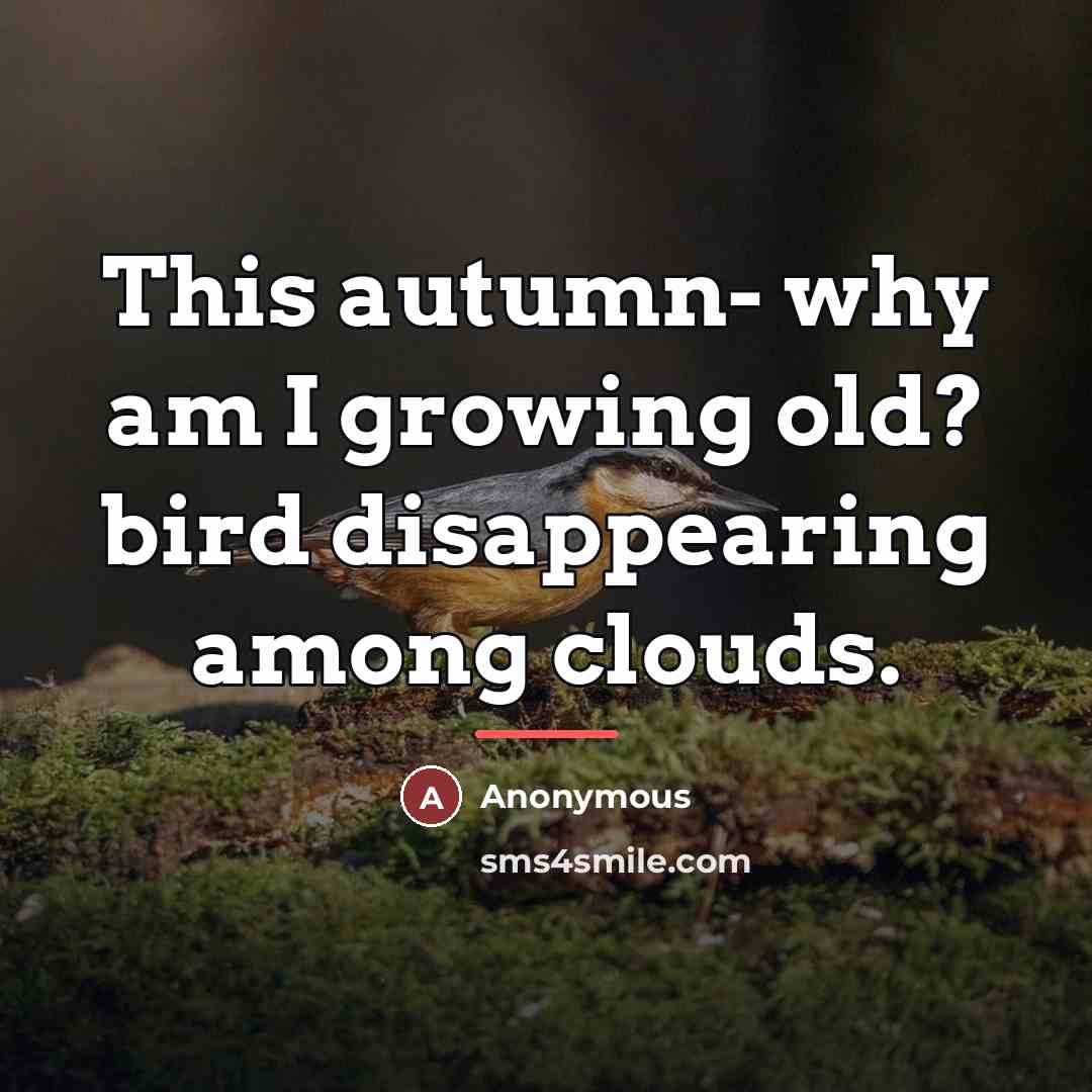 “This autumn- why am I growing old? bird disappearing among…” quote by Anonymous