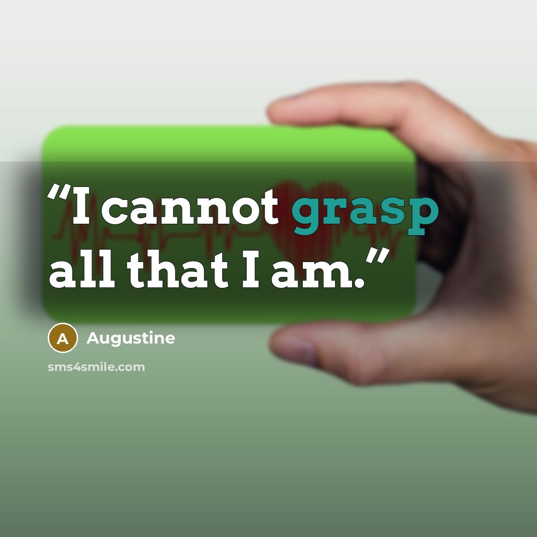 “I cannot grasp all that I am.” quote by Augustine
