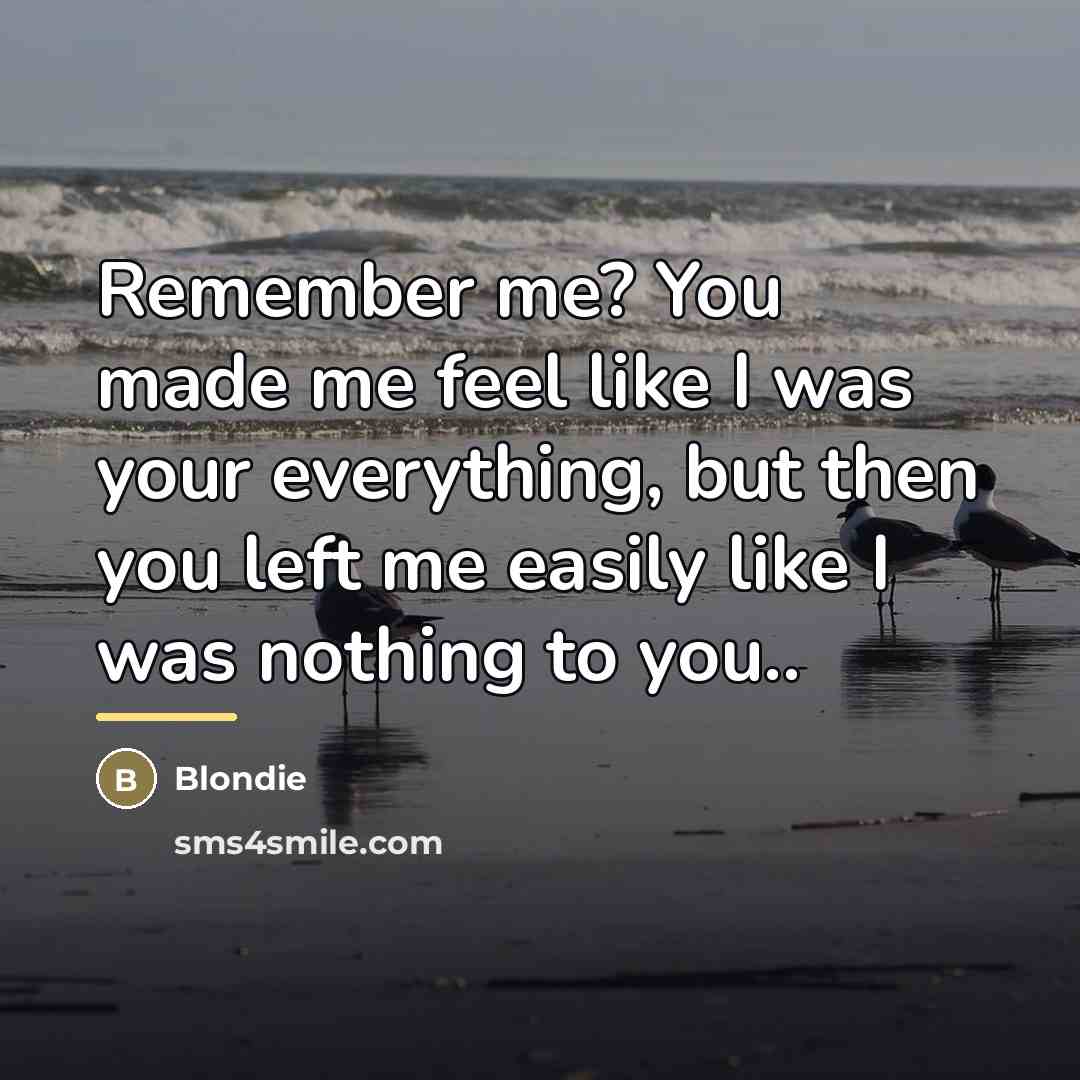 “Remember me? You made me feel like I was your…” quote by Blondie