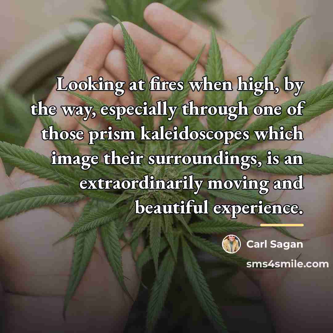 “Looking at fires when high, by the way, especially through…” quote by Carl Sagan