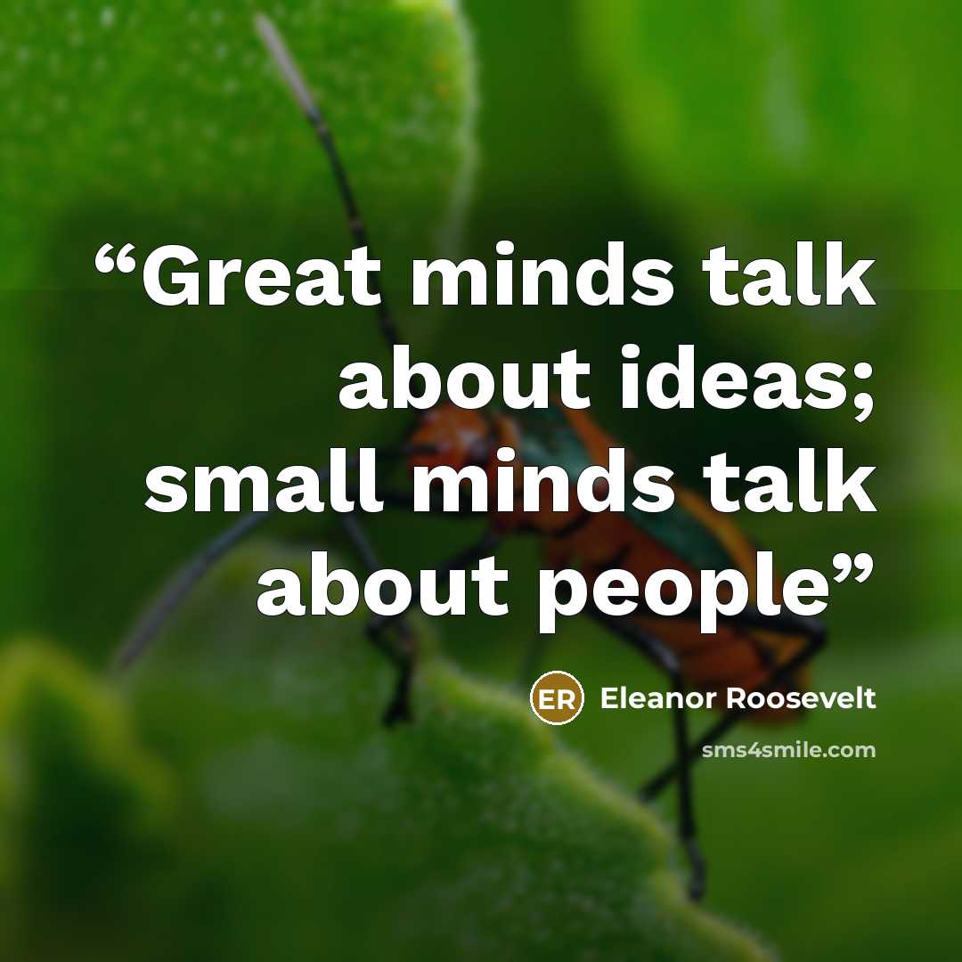 “Great minds talk about ideas; small minds talk about people” quote by Eleanor Roosevelt