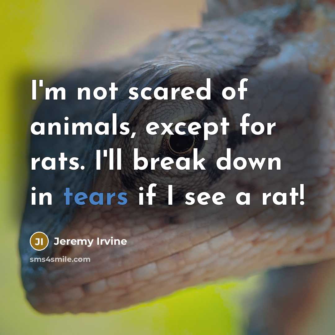 “I'm not scared of animals, except for rats. I'll break…” quote by Jeremy Irvine