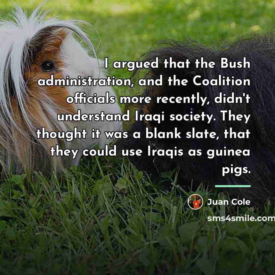 “I argued that the Bush administration, and the Coalition officials…” quote by Juan Cole
