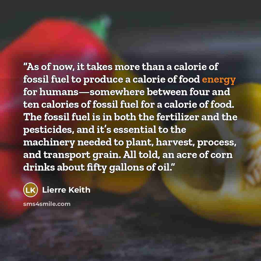 “As of now, it takes more than a calorie of fossil fuel to produce a calorie of food energy for humans—somewhere between four and ten calories of fossil fuel for a calorie of food. The fossil fuel is in both the fertilizer and the pesticides, and it’s essential to the machinery needed to plant…” quote by Lierre Keith