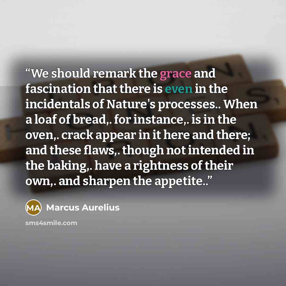 “We should remark the grace and fascination that there is even in the incidentals of Nature's processes.. When a loaf of bread,. for instance,. is in the oven,. crack appear in it here and there; and these flaws,. though not intended in the baking,. have a rightness of their own,. and sharpen the…” quote by Marcus Aurelius