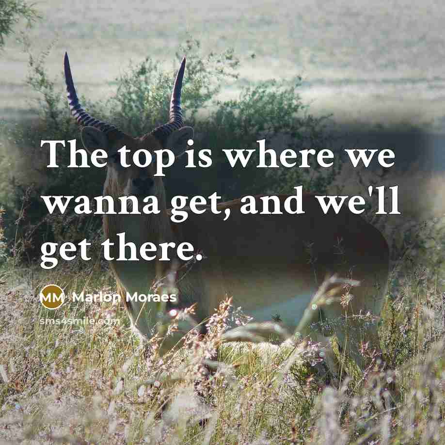 “The top is where we wanna get, and we'll get…” quote by Marlon Moraes