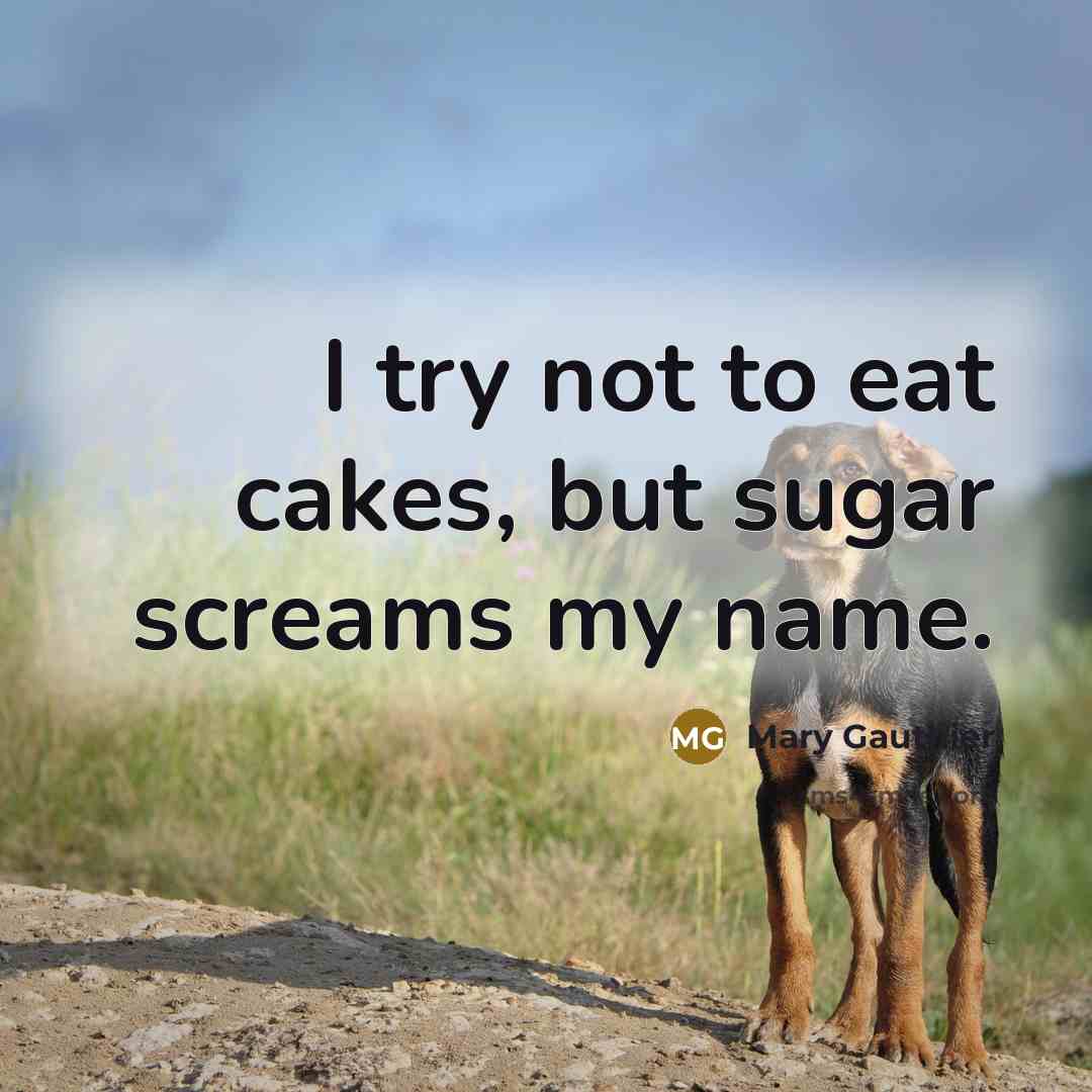 “I try not to eat cakes, but sugar screams my…” quote by Mary Gauthier