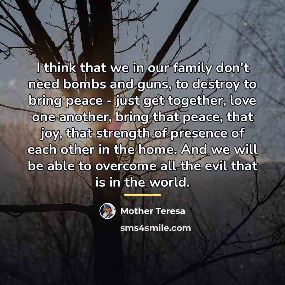 “I think that we in our family don't need bombs…” quote by Mother Teresa