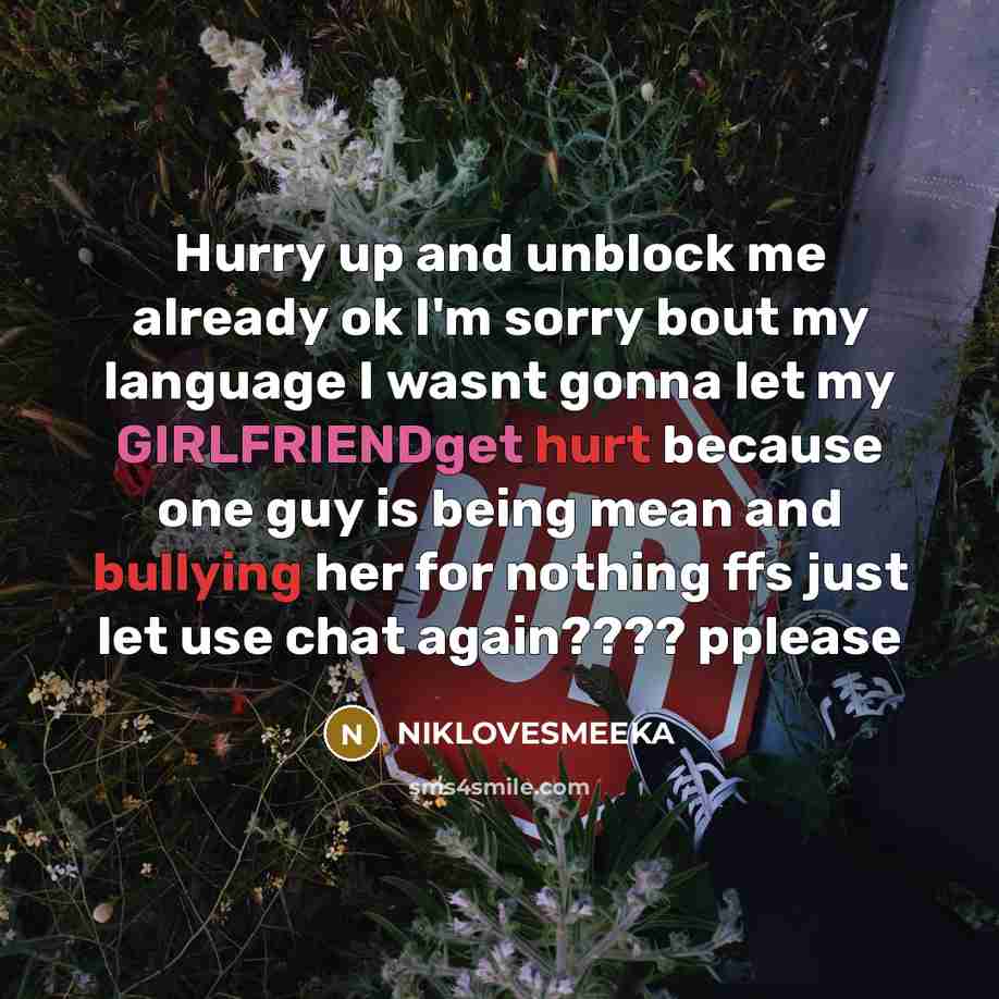 “Hurry up and unblock me already ok I'm sorry bout my language I wasnt gonna let my GIRLFRIENDget hurt because one guy is being mean and bullying her for nothing ffs just let use chat again???? pplease” quote by NIKLOVESMEEKA