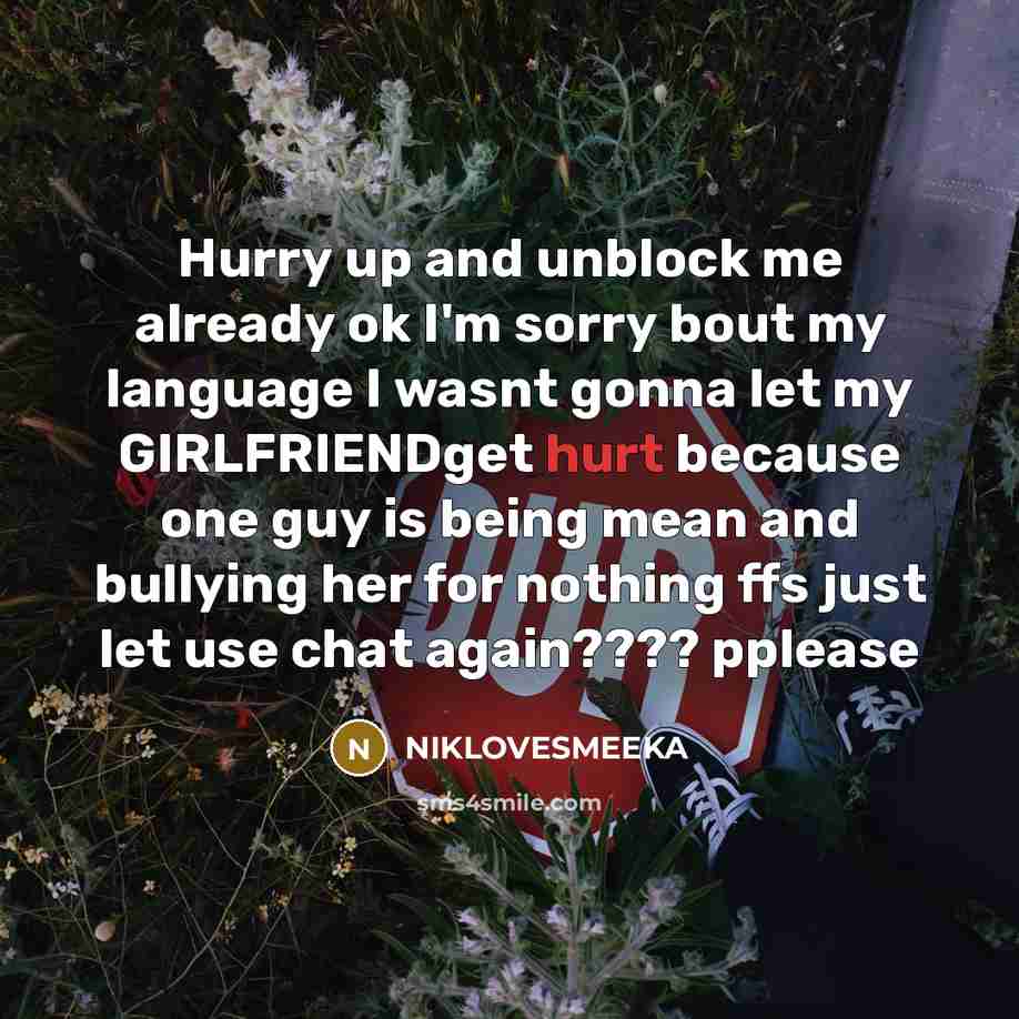 “Hurry up and unblock me already ok I'm sorry bout…” quote by NIKLOVESMEEKA