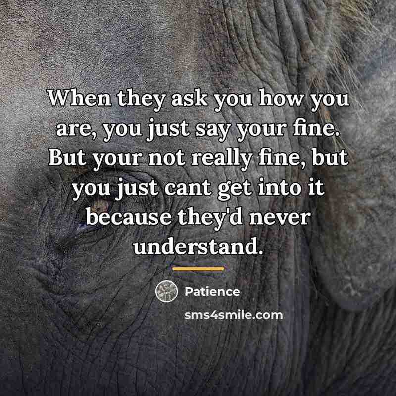 “When they ask you how you are, you just say…” quote by Patience