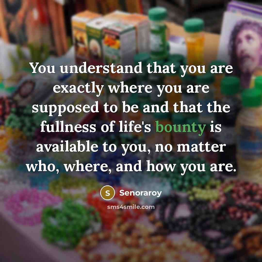 “You understand that you are exactly where you are supposed…” quote by Senoraroy