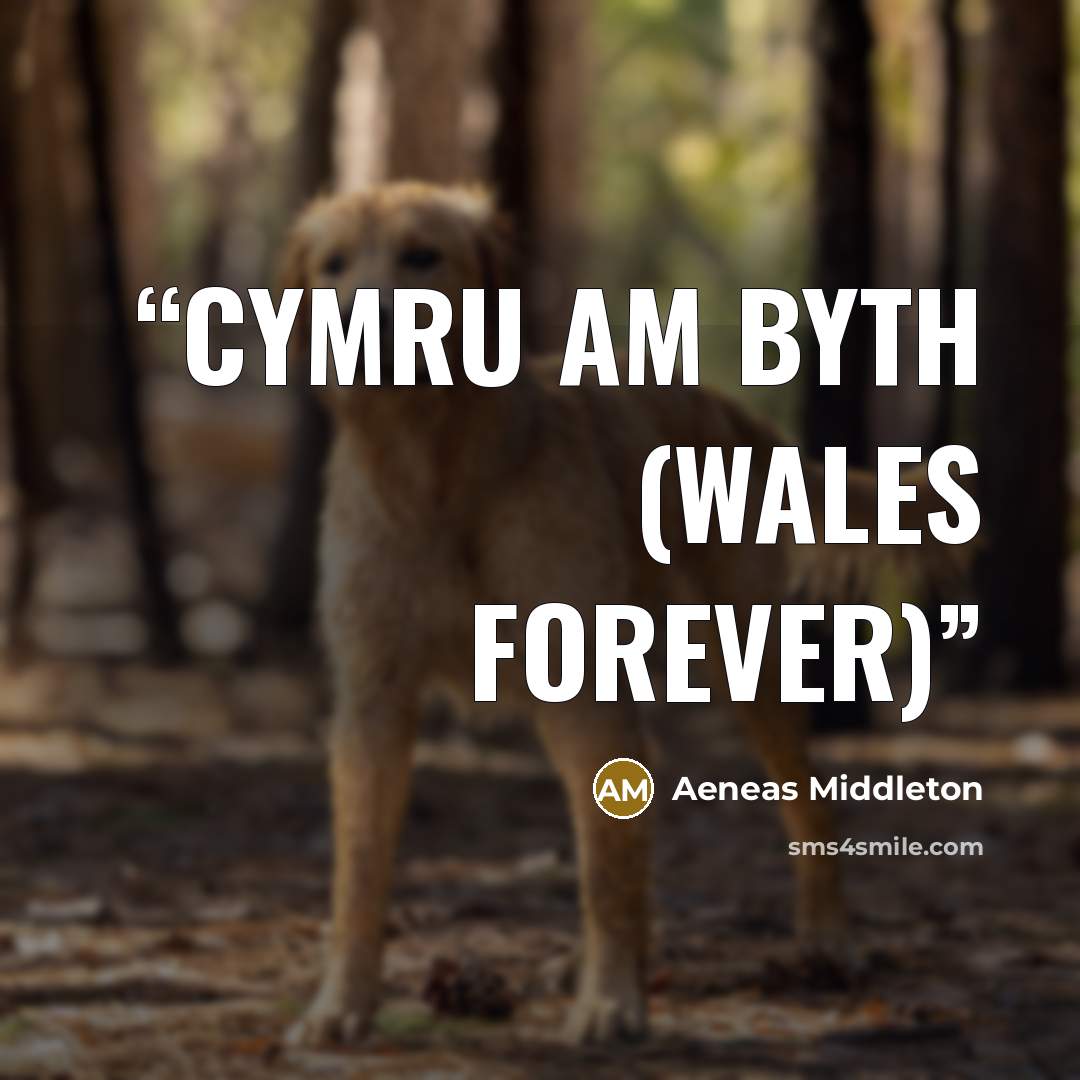 “Cymru AM byth (Wales forever)” quote by Aeneas Middleton